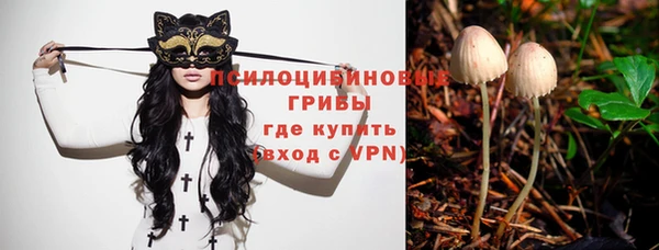 СК Горняк