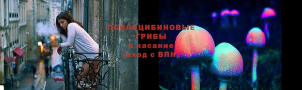 СК Горняк