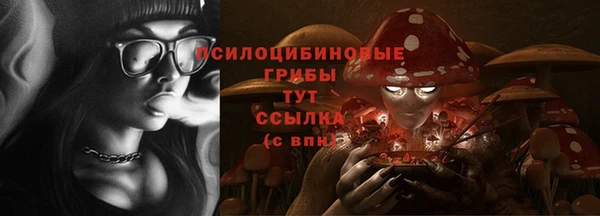 МДМА Горнозаводск