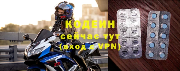 СК Горняк
