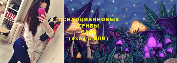МДМА Горнозаводск