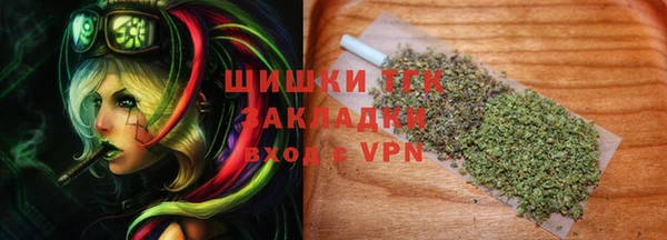 СК Горняк