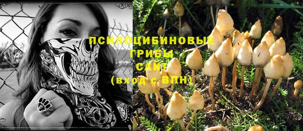 дживик Горно-Алтайск