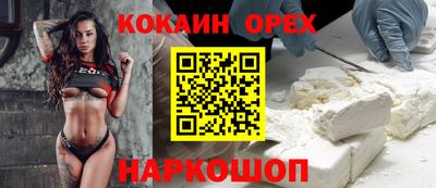 гидра Кандалакша