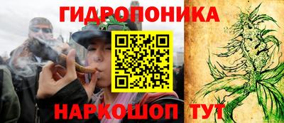 дмт Канаш
