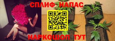 дмт Канаш