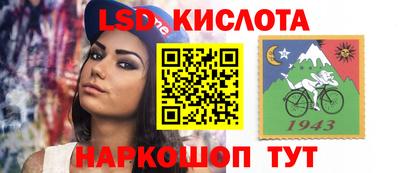 гидра Кандалакша