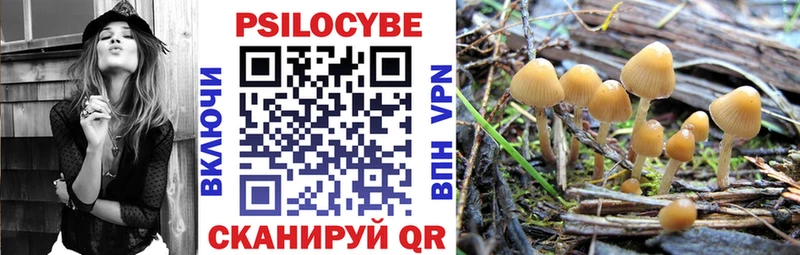 Галлюциногенные грибы Cubensis  Мариинск 