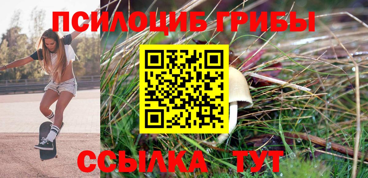 Псилоцибиновые грибы Cubensis  Мариинск  Галлюциногенные грибы Psilocybine cubensis 