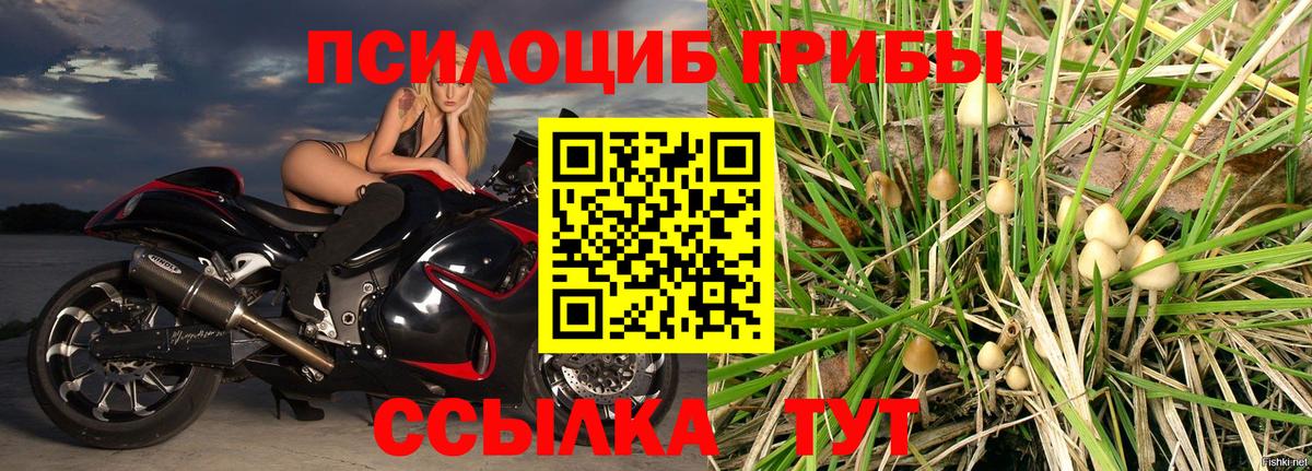 Псилоцибиновые грибы MAGIC MUSHROOMS Мариинск