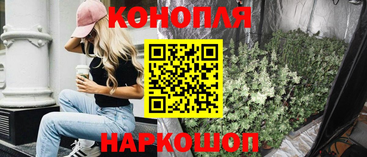 Бошки марихуана Bruce Banner  МАРИХУАНА планчик  Мариинск  МАРИХУАНА семена 